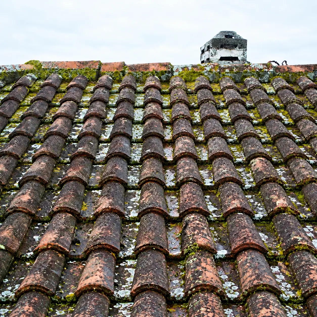 Roof cleaning Cheadle comparison 2, before professional cleaning