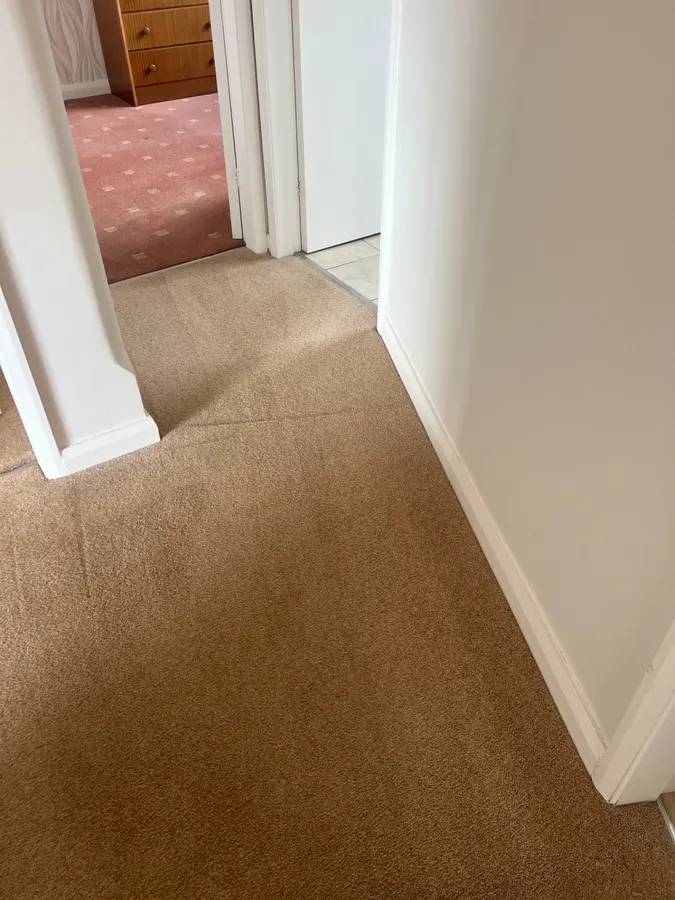 Hallway carpet stain removal before and after in Staffordshire, after professional cleaning