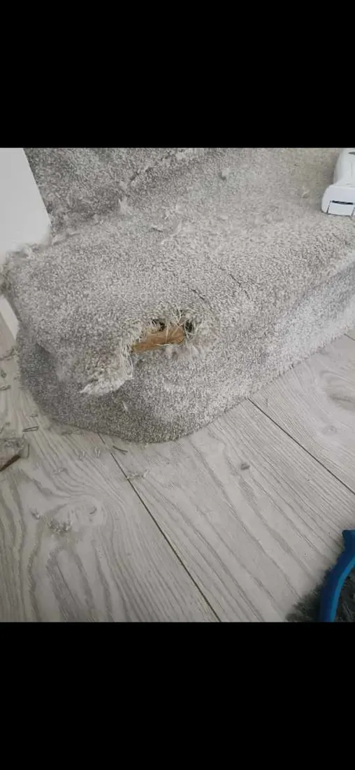 Carpet repair on stairs in Staffordshire, before professional cleaning